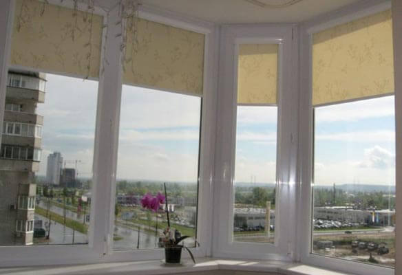Window